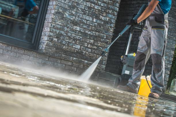 Best Graffiti Removal  in Mondovi, WI